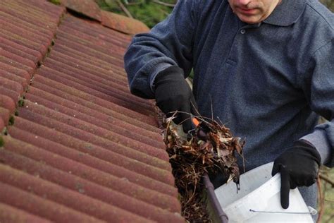 How Do Professionals Clean Gutters Best Way To Clean Gutters