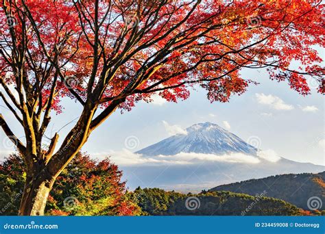 Fuji Mountain And Red Maple Leaves In Autumn At Kawaguchiko Lake Japan