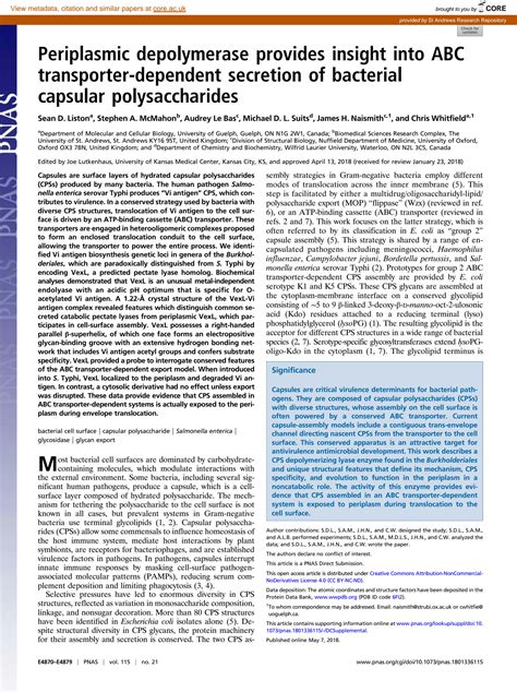 Solution Periplasmic Depolymerase Provides Insight Into Abc