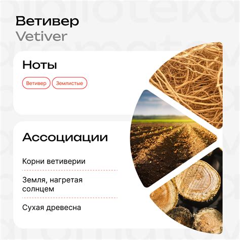 Купить Семпл Ветивер 1.5 мл по выгодной цене | Библиотека ароматов