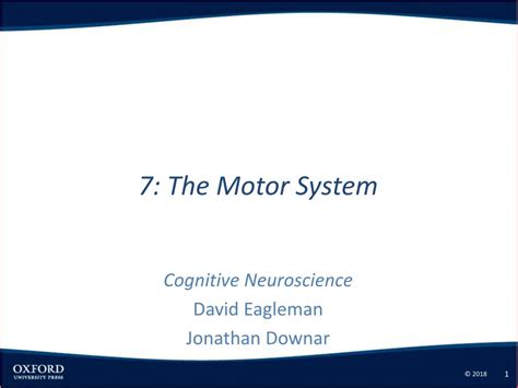 Ppt 7 The Motor System Powerpoint Presentation Free Download Id