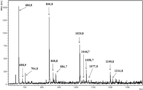 Uvmaldi Tof Mass Spectrum In The Lineal Positive Mode Of The