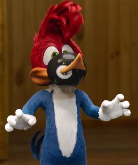 Them Woody Woodpecker Is An Idiot He Can Hurt You Because Hes