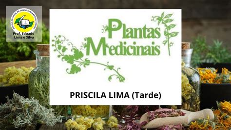 Eletiva Plantas Medicinais YouTube