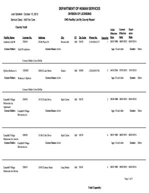 Fillable Online Dhs State Mn Minnesota Department Of Human Services