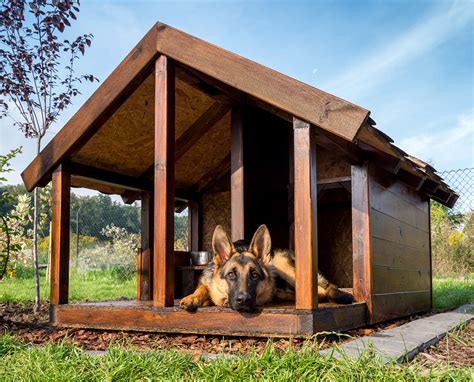 Guide To The Best Indoor And Outdoor Dog House Heater Options