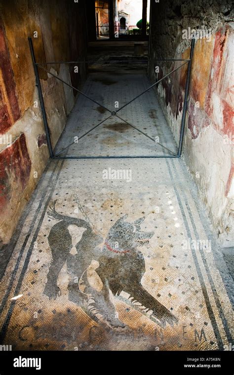 Pompeii Campania Italy Cave Canem Mosaic Beware Of The Dog House