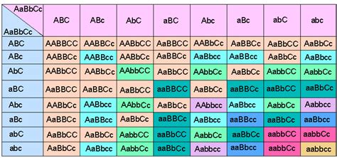 Questions On Trihybrid Cross