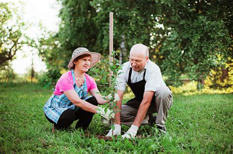 A Senior Citizens Guide To Aging At Home Safely And With Dignity