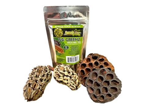 Iso Greenz Isopod Enrichment Kit Isopod Food Bioactive Botanicals