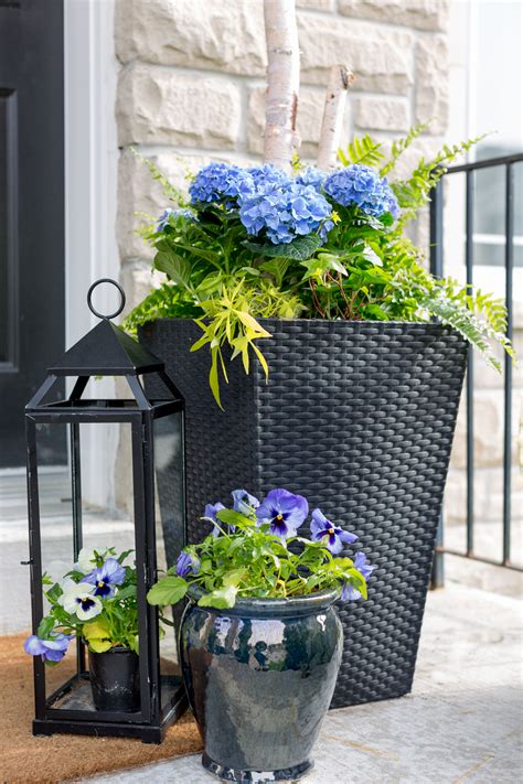 30 Front Porch Plants Ideas DECOOMO