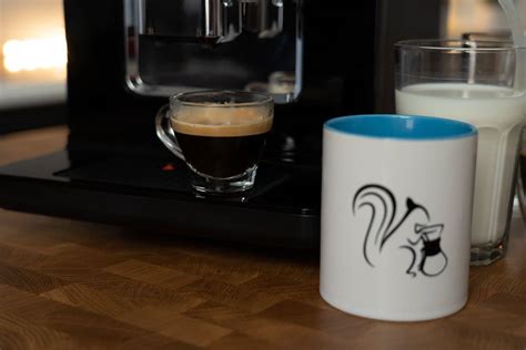 Krups EA8918 Evidence Kaffeevollautomat Test 2025