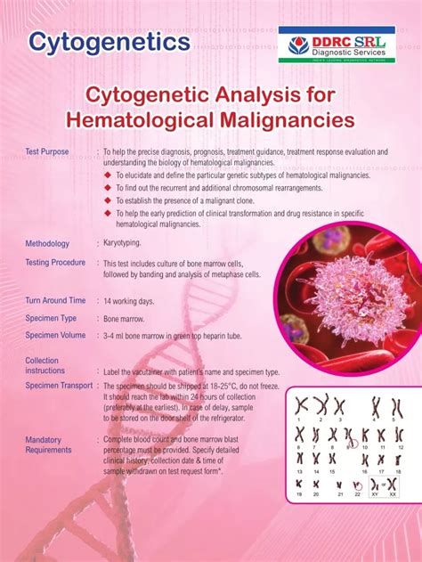 Ppt Hematological Mali Cytogenetic Analysis For Hematological Malignancies Powerpoint