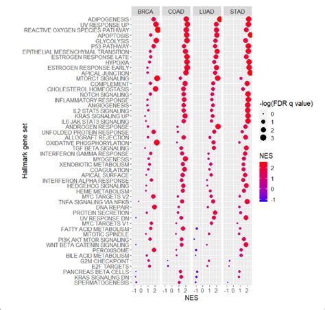 Hallmark Gene Set Enrichment Analysis According To The Expression Level Download Scientific