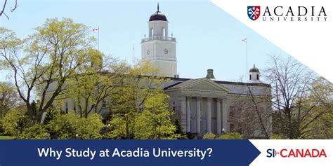 Six Reasons To Study At Acadia University Student Guide