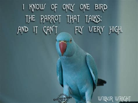 Love Bird Quotes And Sayings Quotesgram