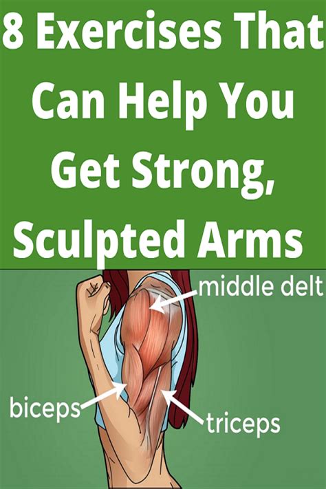 8 Exercises That Can Help You Get Strong Sculpted Arms In 2020