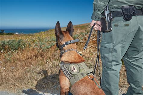 Sonoma County Sheriff's Office