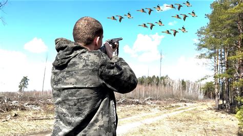 Охота на ГУСЯ. Очень БОЛЬШОЙ прилёт Гуся. - YouTube