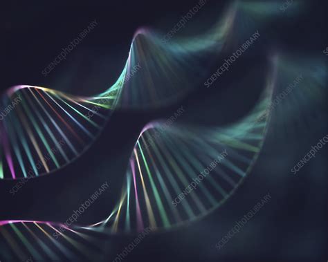 Dna Molecules Illustration Stock Image F025 3517 Science Photo