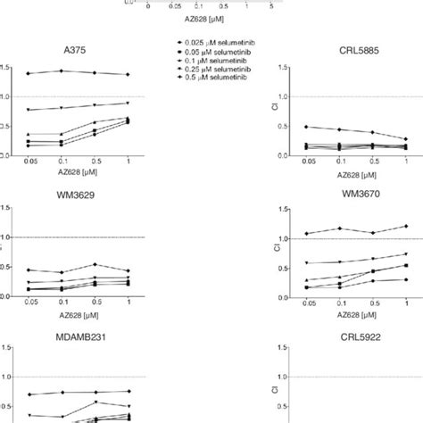 Growth Inhibition And Parp Levels Upon Combination Treatment Of