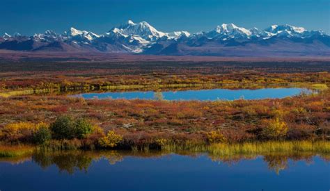 Gallery - Denali Aurora Borealis Quest | Alaska