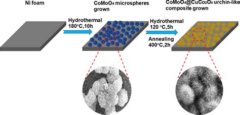 A Schematic Diagram Of Chemical Deposition Of The Comoo4cuco2o4