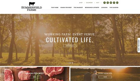 Summerfield Farms Web Design Atlas Branding Design Agency Nc