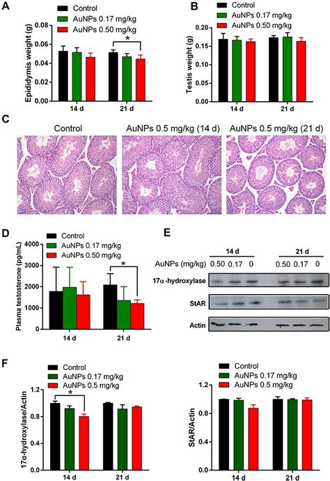 The Effects Of Gold Nanoparticles On Leydig Cells And Male Reproductiv