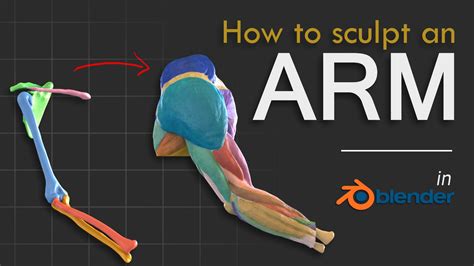 How to sculpt an Arm in Blender - BlenderNation