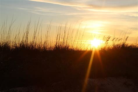 Sea Oat Sunset Photograph By Whitney Borges Pixels