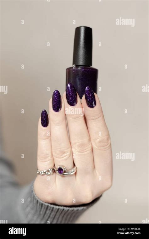 Female Hand With Long Nails And Dark Purple Lilac Manicure Holds A Bottle Of Nail Polish Stock