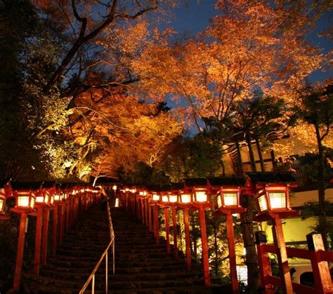 京都「京の奥座敷・貴船もみじ灯篭」貴船神社周辺と叡山電車沿線のもみじのトンネルがライトアップ おんせんニュース