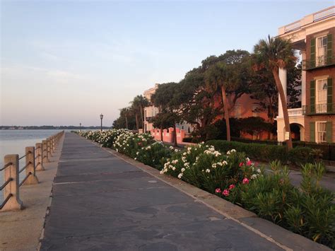 Sunrise on The Battery – Quiet Morning in Charleston - Charleston Daily