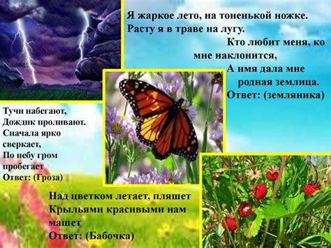 Заглянем в лето - презентация онлайн
