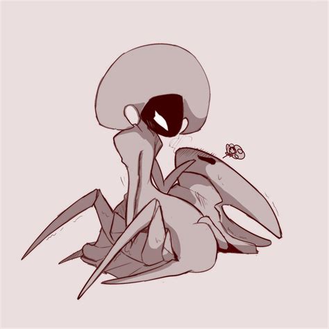 Post 3326328 Hollowknight Hornet Lace