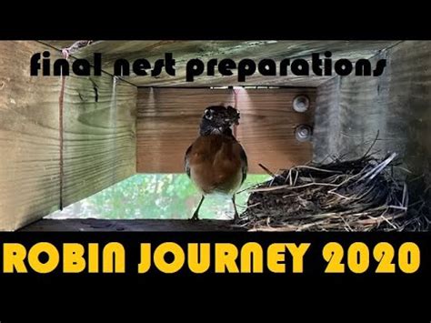 ROBIN JOURNEY MAY 31 Finishing Touches On Nest YouTube