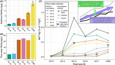 Environmental Formation Of Methylmercury Is Controlled By Synergy Of