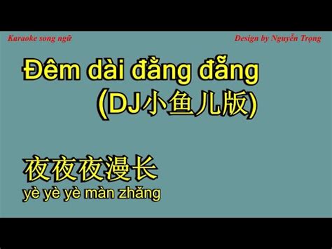 Karaoke 夜夜夜漫长 DJ小鱼儿版 Đêm dài đằng đẵng ye ye ye man zhang YouTube