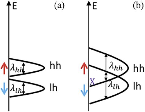 The Heavy Hole And Light Hole Band Distribution Of Ssl Structures A