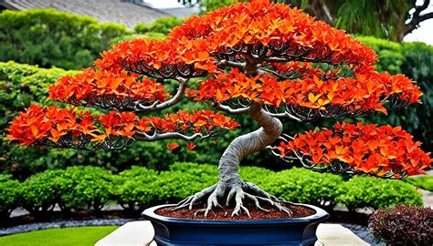 Bonsai Tree Species Showcase The Vibrant Flame Tree