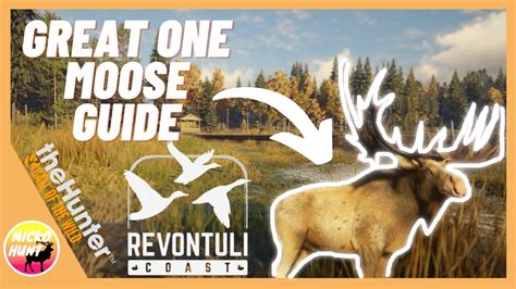 GREAT ONE MOOSE GUIDE ON REVONTULI COAST COTW YouTube