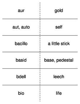 Microbiology Root Words Flash Cards By Everything Science And Beyond