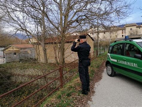 Un Anno Di Servizi E Controlli Per I Carabinieri Forestali