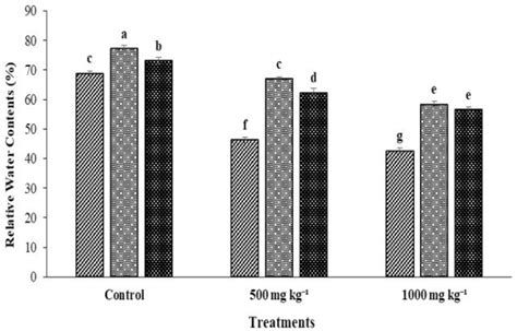 Effect Of Biochar And Compost On Root Dry Weight Of Spinach Grown In