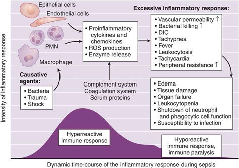 Disseminated intravascular coagulation – Artofit