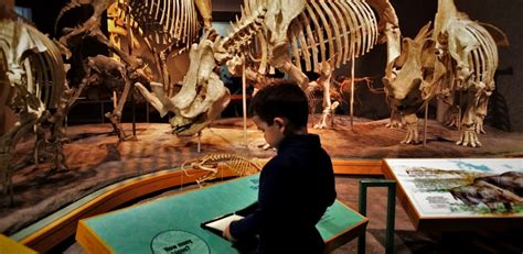 √ Denver Museum Of Nature And Science Dinosaurs - Alumn Photograph