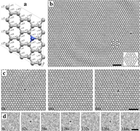 Nitrogen Doped Graphene A Dft Relaxed Configuration Of A Single Download Scientific Diagram