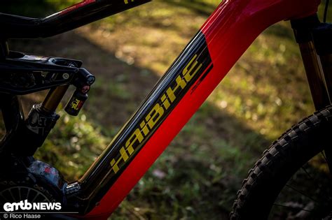 Haibike Xduro Nduro 10 0 Flyon Im Test Business Oder Economy EMTB