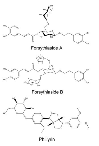 Figure 1 Chemical Structures Of Forsythiaside A Forsythiaside B And